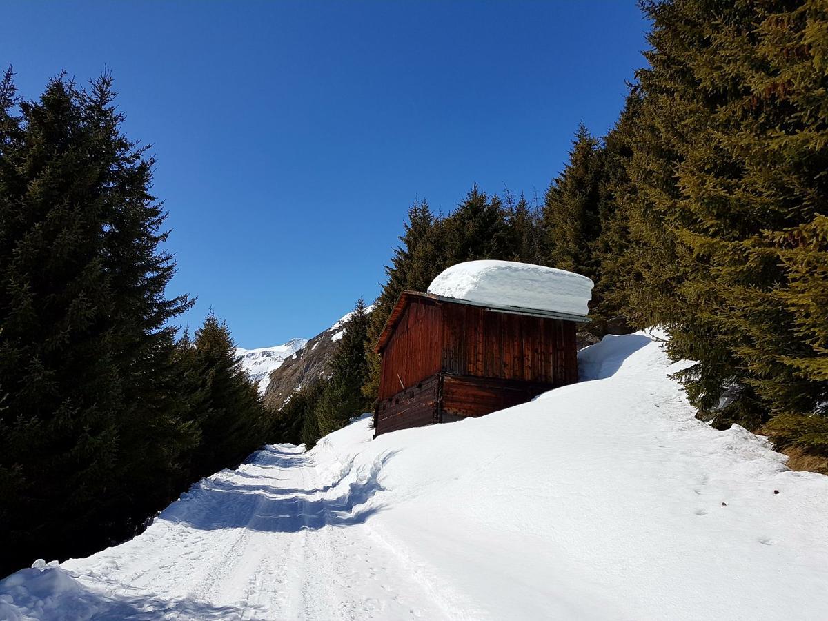 Mountain Lodge Sedrun Dış mekan fotoğraf